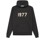 Essentials SS22 Hoodie