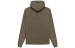 Fear of God Essentials FW22 Relaxed Hoodie 'Wood' Back