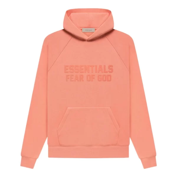 essentials fw22 hoodie